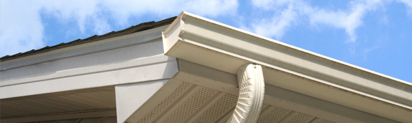 MN Gutter Installation Contractor Example