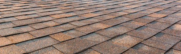 MN Roofing Contractor Shingles