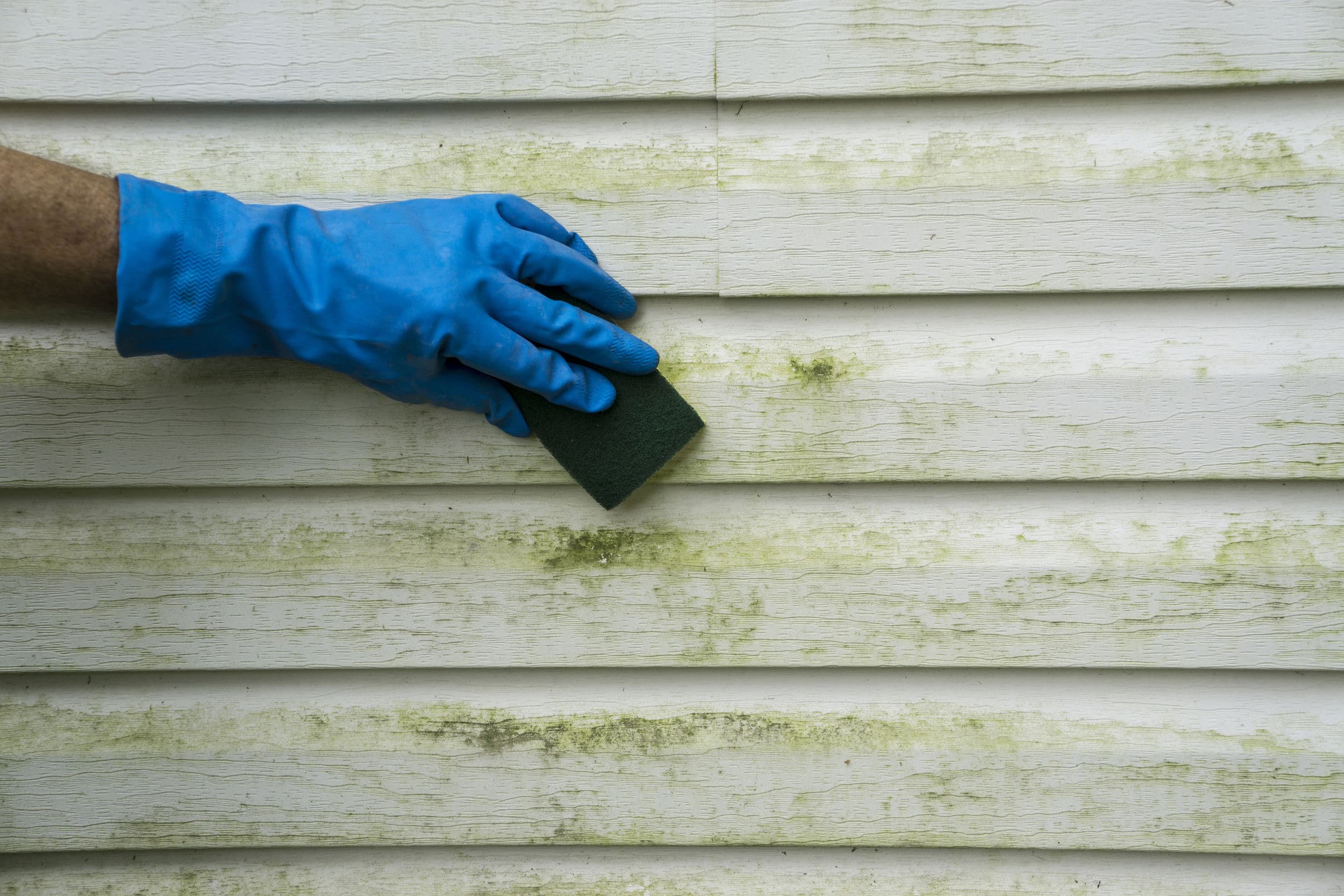 How to Remove Mold from Vinyl Siding - Advantage Construction