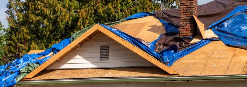 Roof Damage Prevention and Repair
