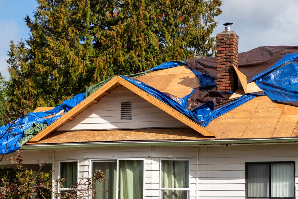 Roof Damage Prevention and Repair