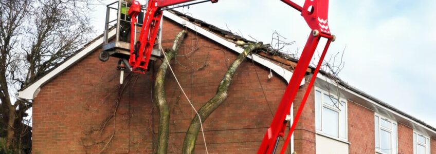 After a Storm Damages Your Home