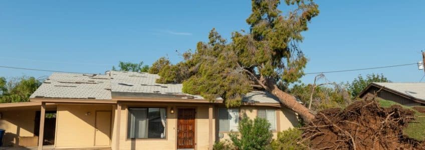 A tree falling on your home can be a scary occurrence