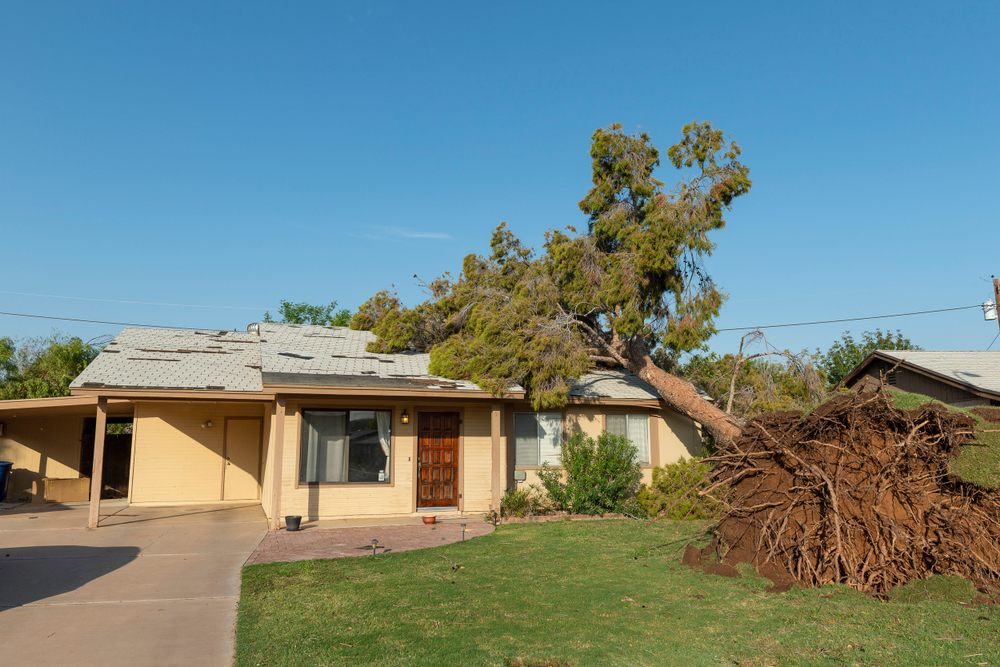A tree falling on your home can be a scary occurrence