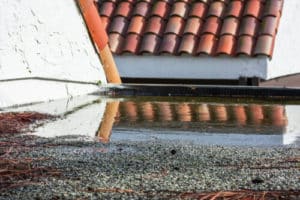 Clogged Drainage Systems