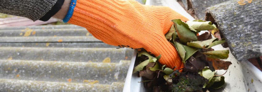 Why Fall Gutter Cleaning is Essential for Your Home