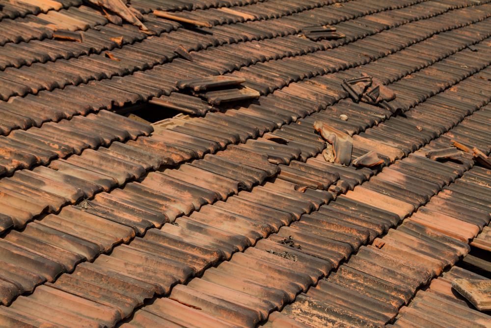 Loose Shingles