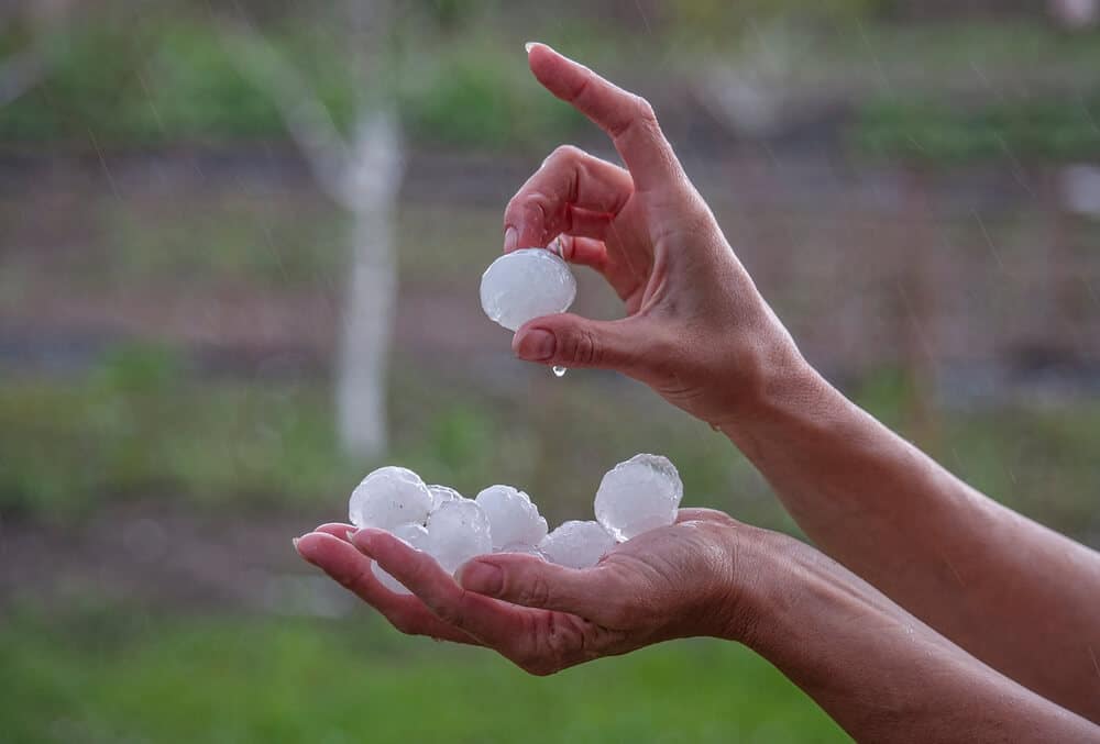 spot hail damage