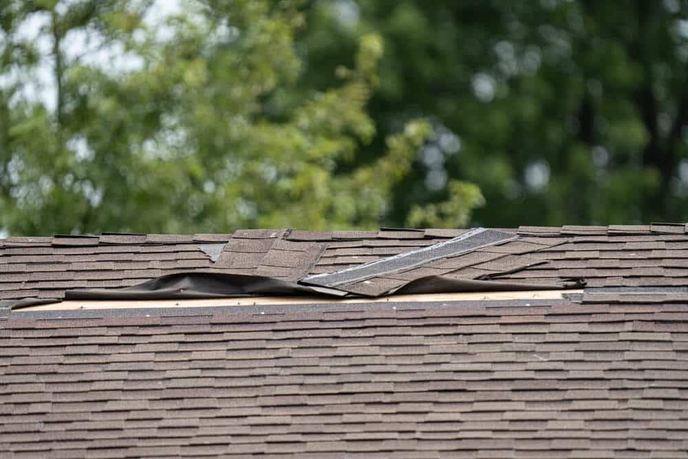 damaged roof shingle