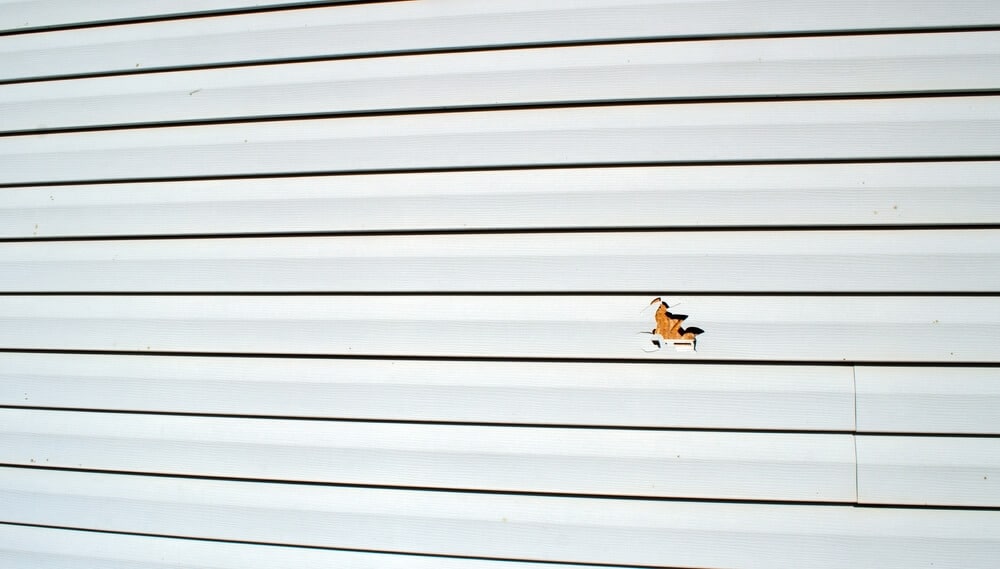 repair holes in vinyl siding