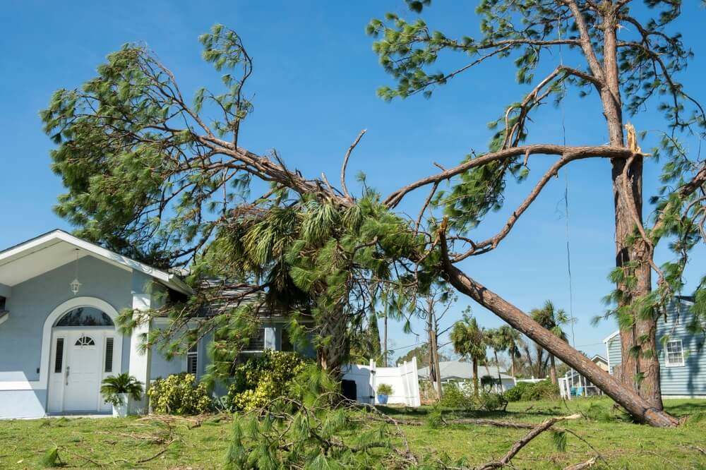 inspect your roof for storm damage