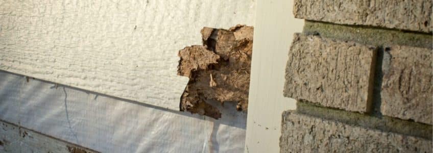 When Should You File an Insurance Claim for Siding Damage in Minnesota?