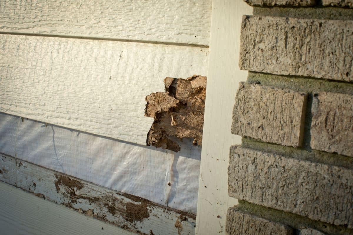 When Should You File an Insurance Claim for Siding Damage in Minnesota?