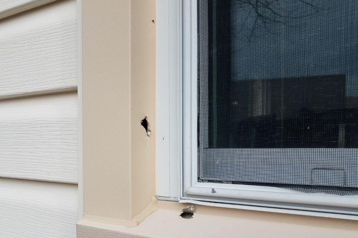 How Hail Damage to Windows Impacts Your Home’s Energy Efficiency