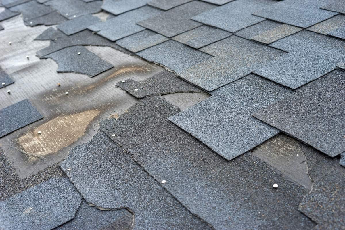 What to Do if Your Roof Has Missing Shingles After a Storm