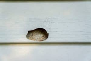 Top 5 Signs Your Siding Needs Replacement After a Hailstorm