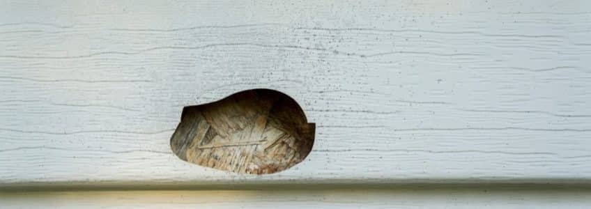 Top 5 Signs Your Siding Needs Replacement After a Hailstorm
