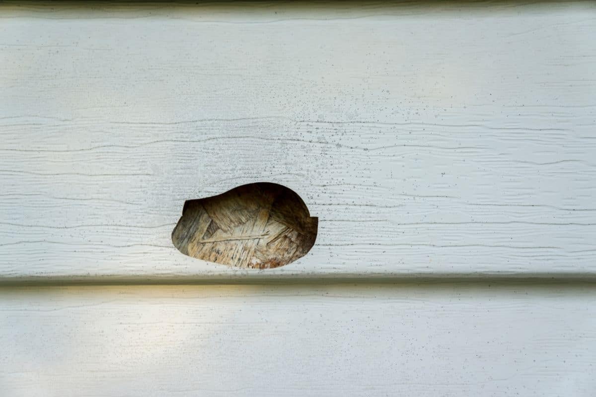 Top 5 Signs Your Siding Needs Replacement After a Hailstorm