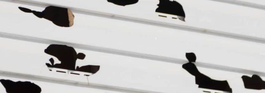 Three Vinyl Siding Installation Mistakes to Avoid After Hail Damage