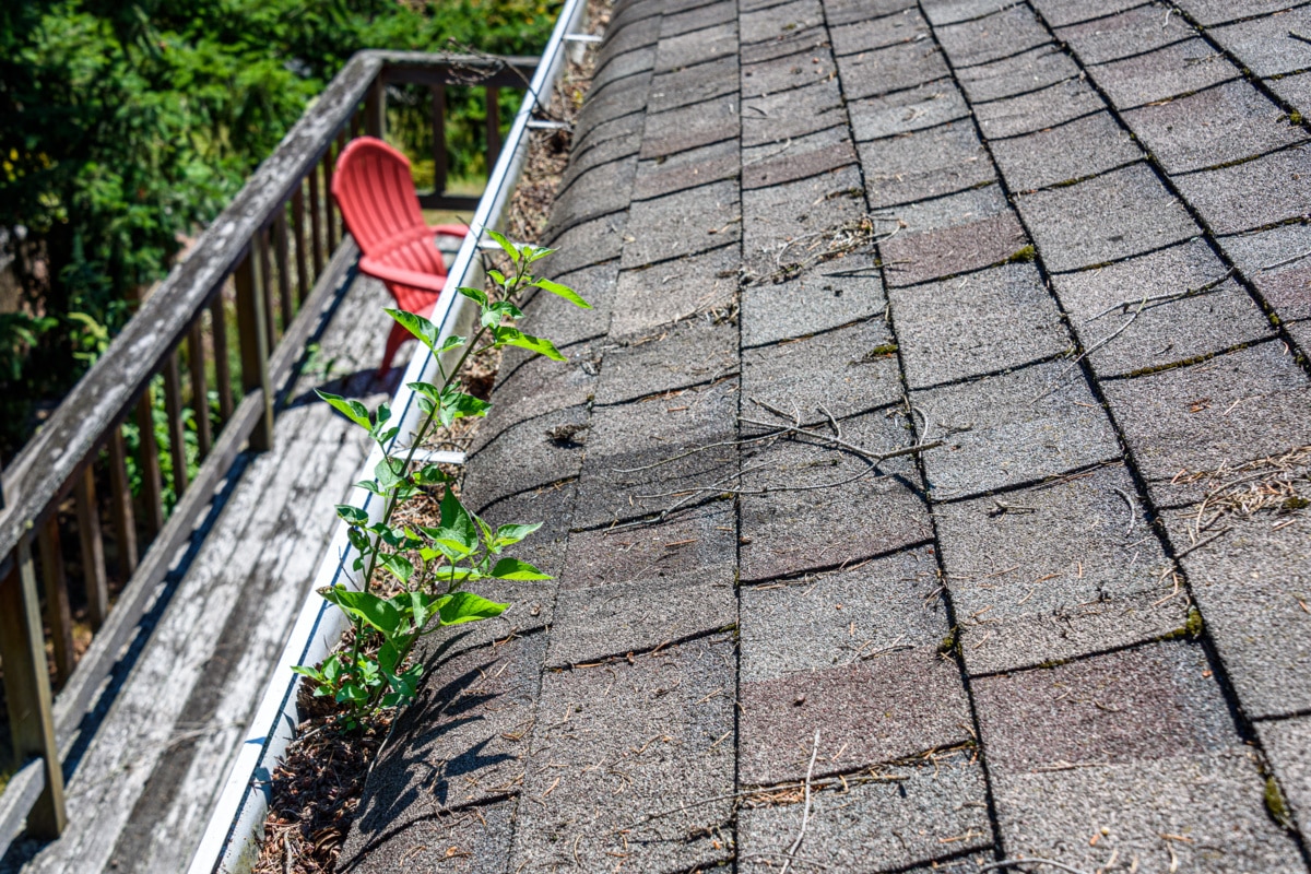 How Often Roof Maintenance Should Be Performed